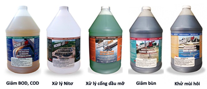 BỔ SUNG MEN VI SINH ĐỊNH KỲ